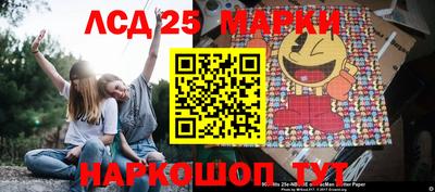 2c-b Кингисепп