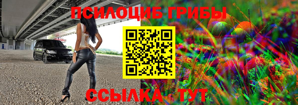 купить наркотик  Галлюциногенные грибы GOLDEN TEACHER  Вход с VPN  Кострома 